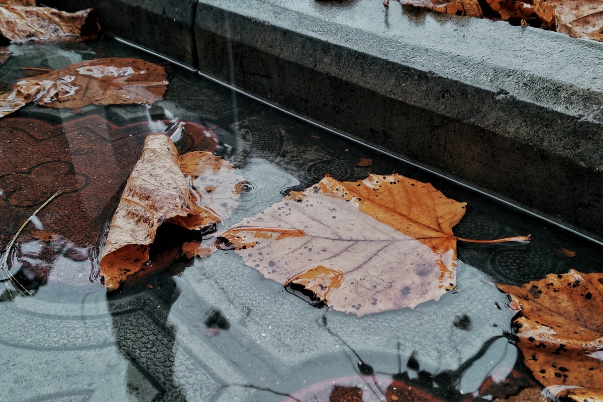 Standing Water on Your Property