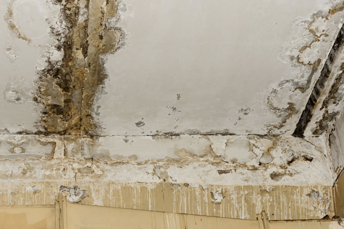 Indications of Water Damage Your Public Adjuster Investigates