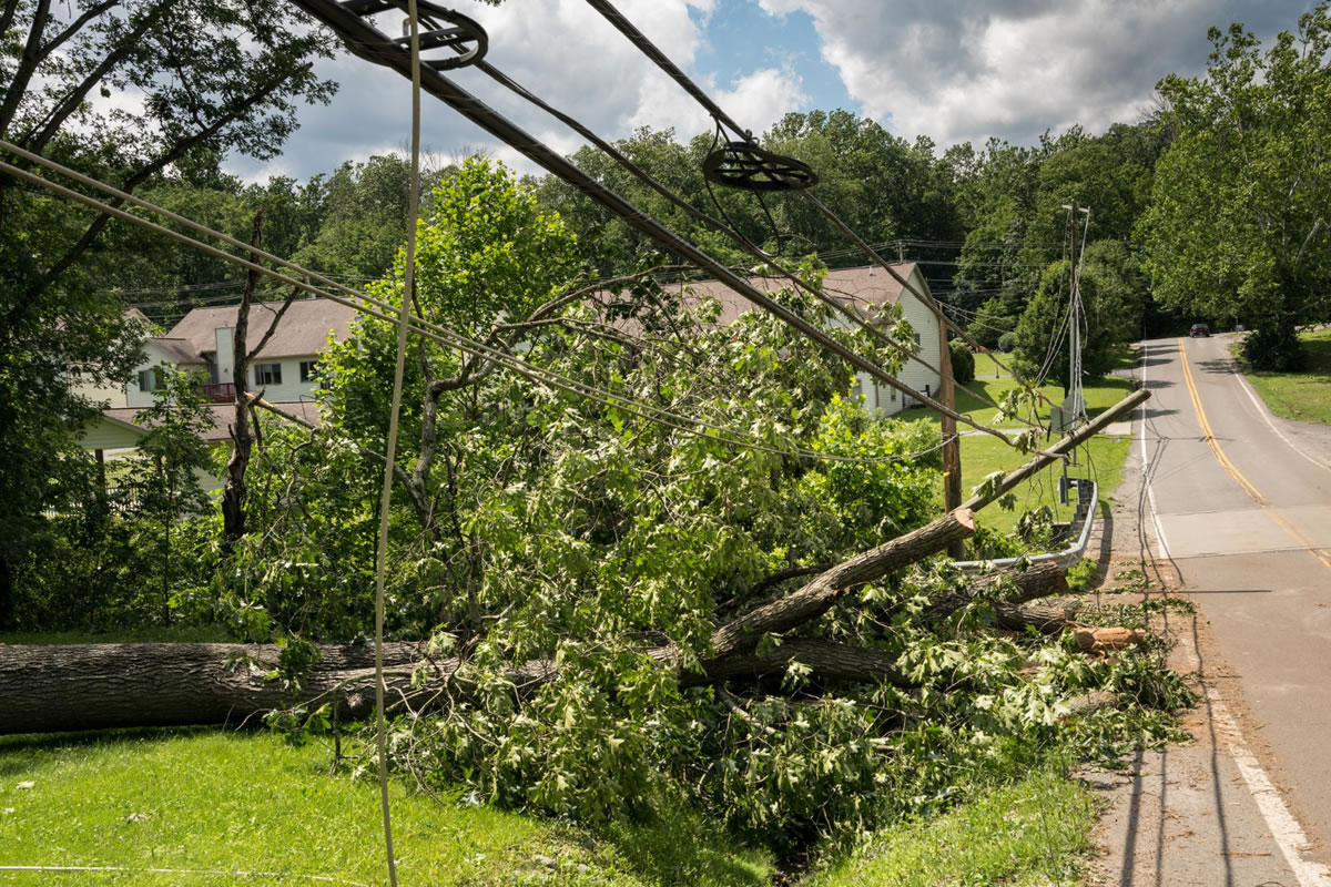 Four Storm and Hail Damage Claim Tips