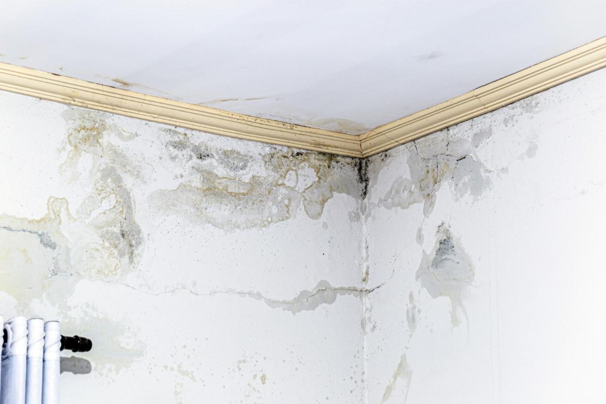 Five Ways to Prevent Water Damage in Your Home