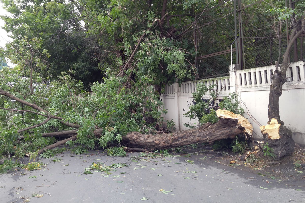 Five Things You Should Know About Wind Damage Claims