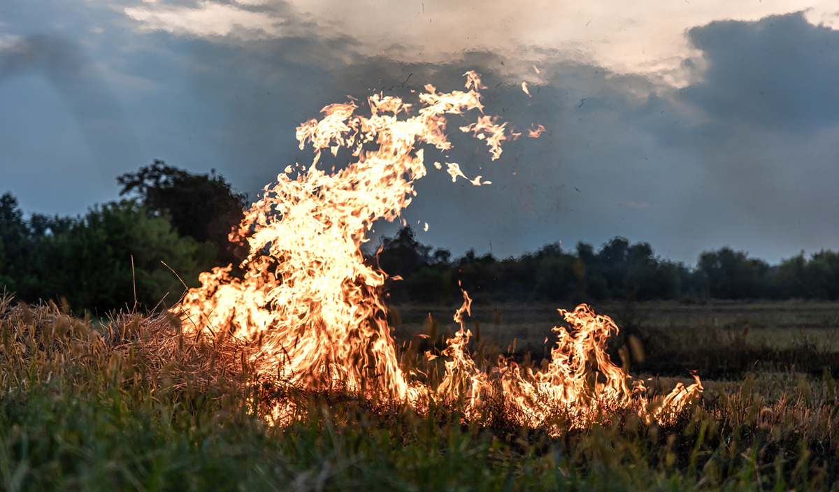 Understanding Home Insurance Claims and Coverage in the Wake of Increasing Wildfires and Climate Cha