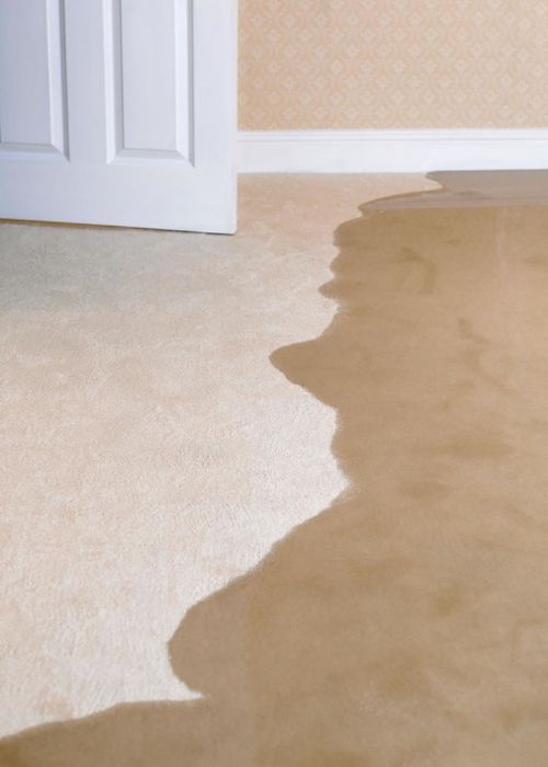 WATER & FLOOD DAMAGE