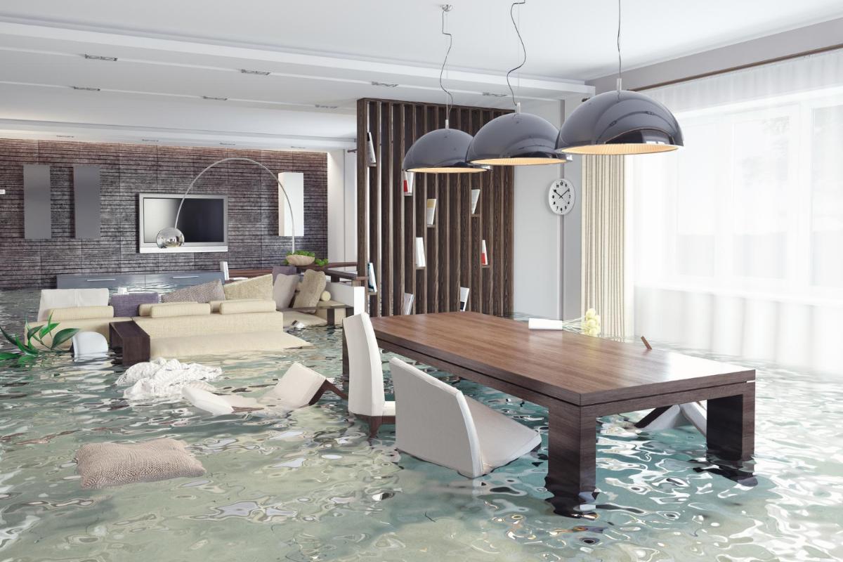 Understanding Water Damage Insurance Claims and Coverage