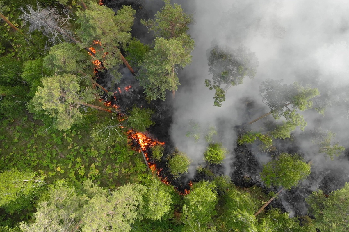 Understanding Homeowners Insurance Coverage for Wildfire Damage
