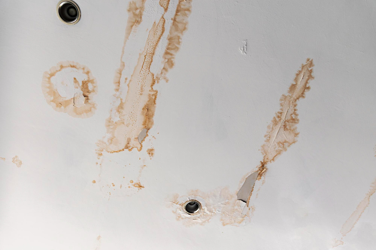 What To Do When There's A Water Leak From Upstairs Condo