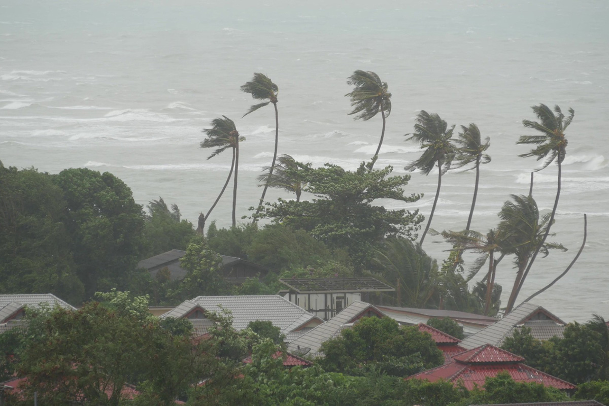 Understanding the Appraisal Process for Wind Damage