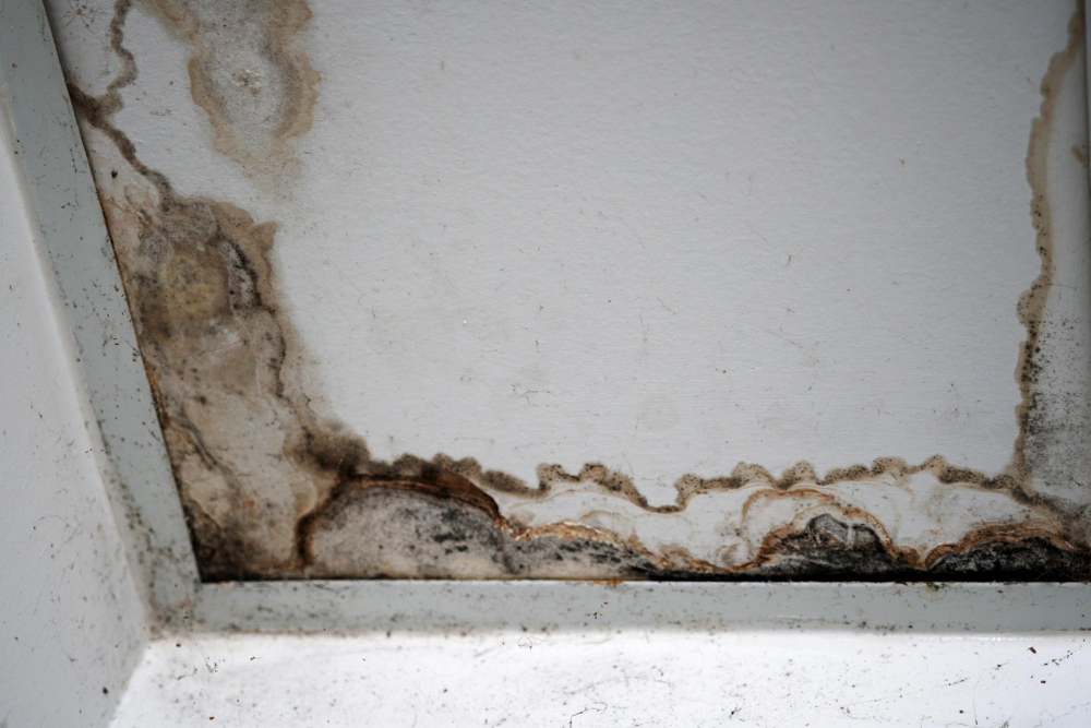 Does Homeowners Insurance Cover Slab Leaks?