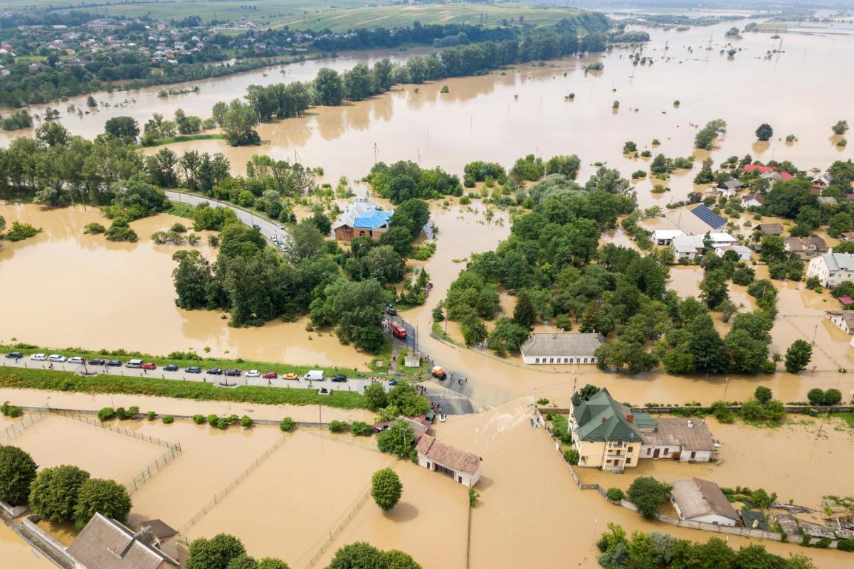 Surviving a Flood in Hillsborough County