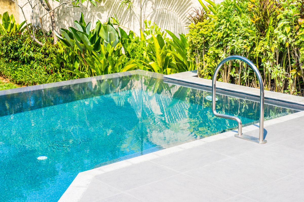 Trees You Should Avoid Planting by Your Florida Pool